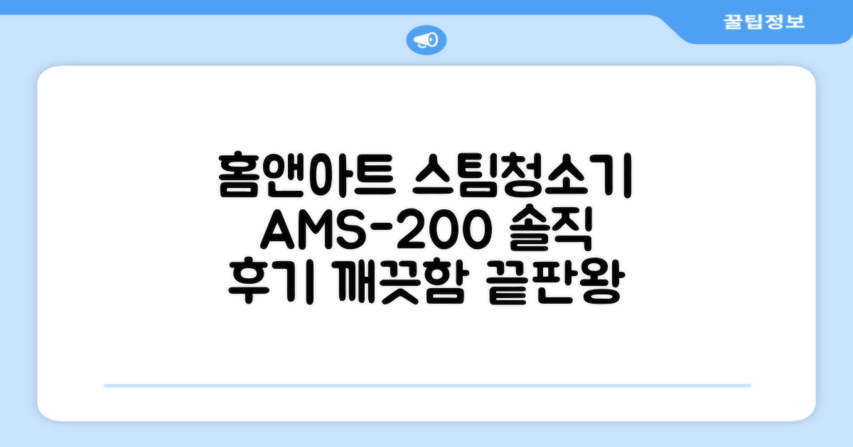 홈앤아트 퓨어 스팀청소기 AMS-200 추천 리뷰