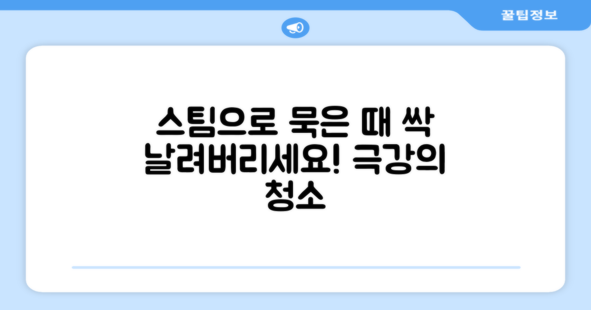 묵은 때, 스팀으로 날려버리세요!