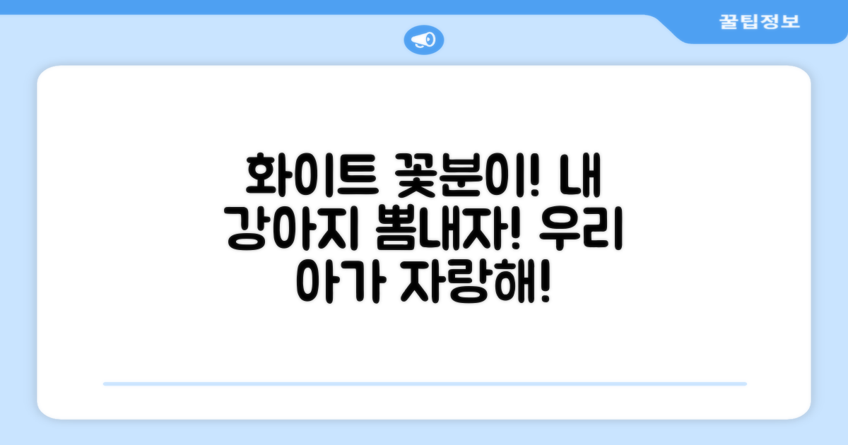 화이트 꽃분이, 우리 강아지 뽐내세요!