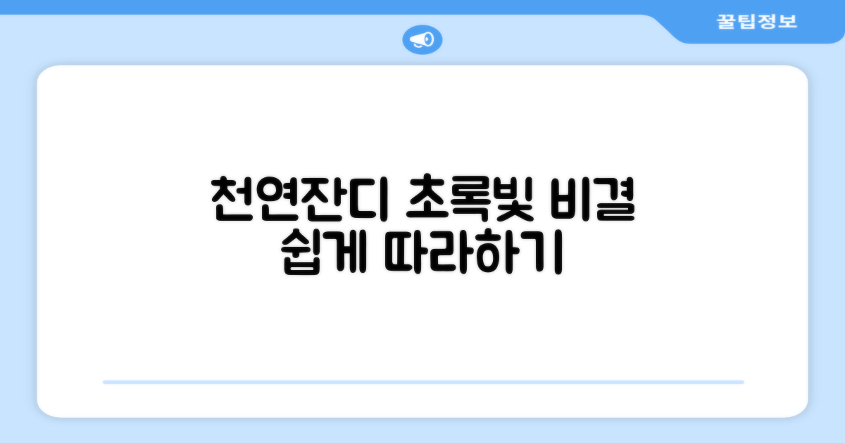 천연잔디 최적화 비결