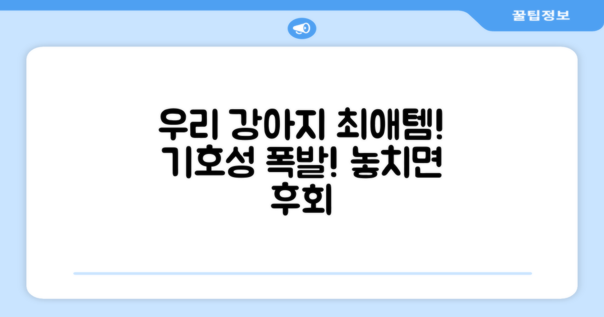 기호성 UP! 우리 강아지 최애