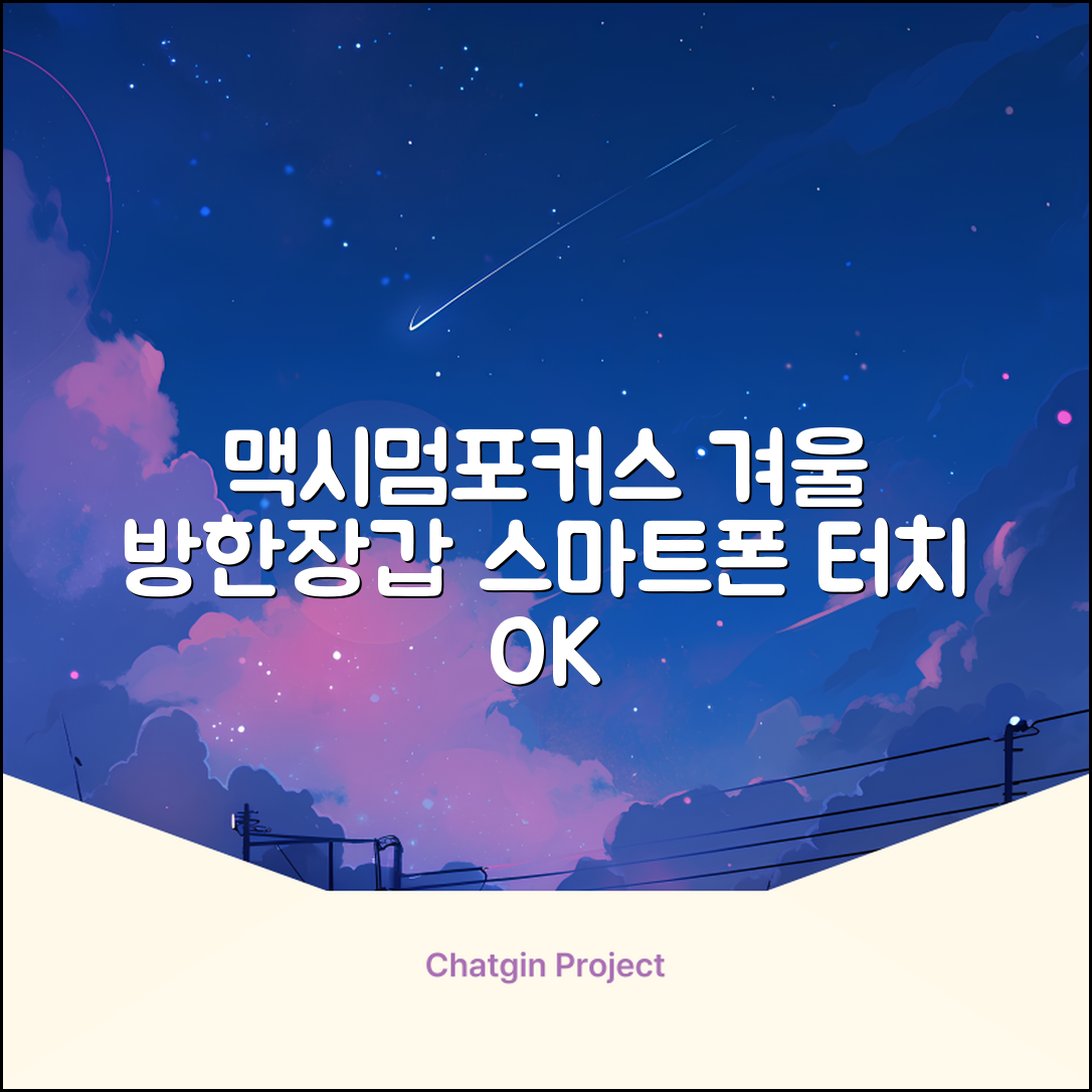 맥시멈포커스 스마트폰 터치 겨울 방한장갑 추천 리뷰