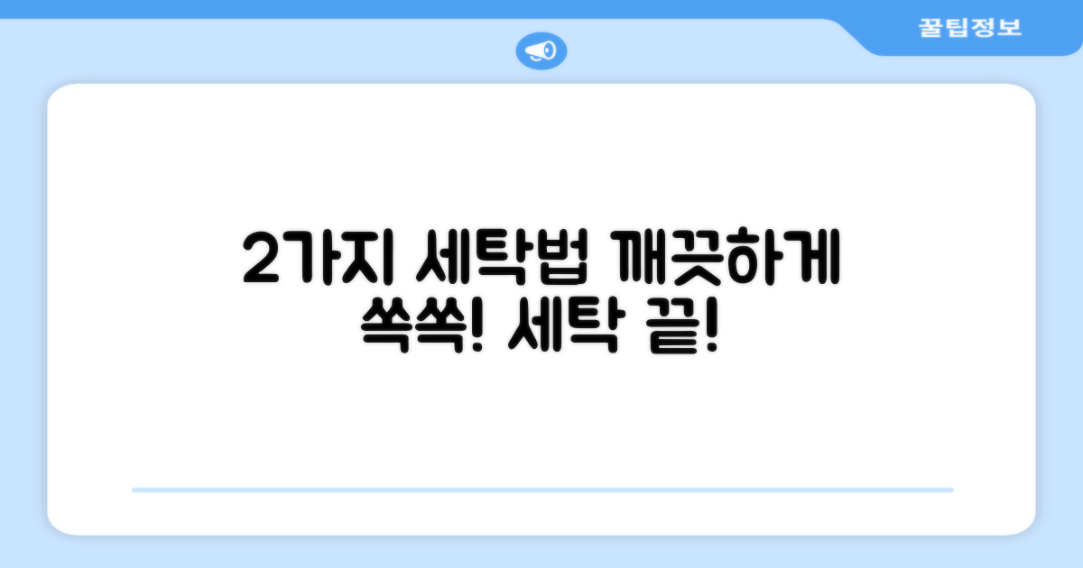 2가지 세탁 방법