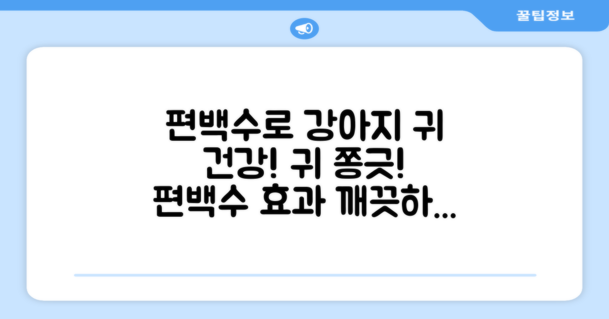 강아지 귀 건강, 편백수로 시작!
