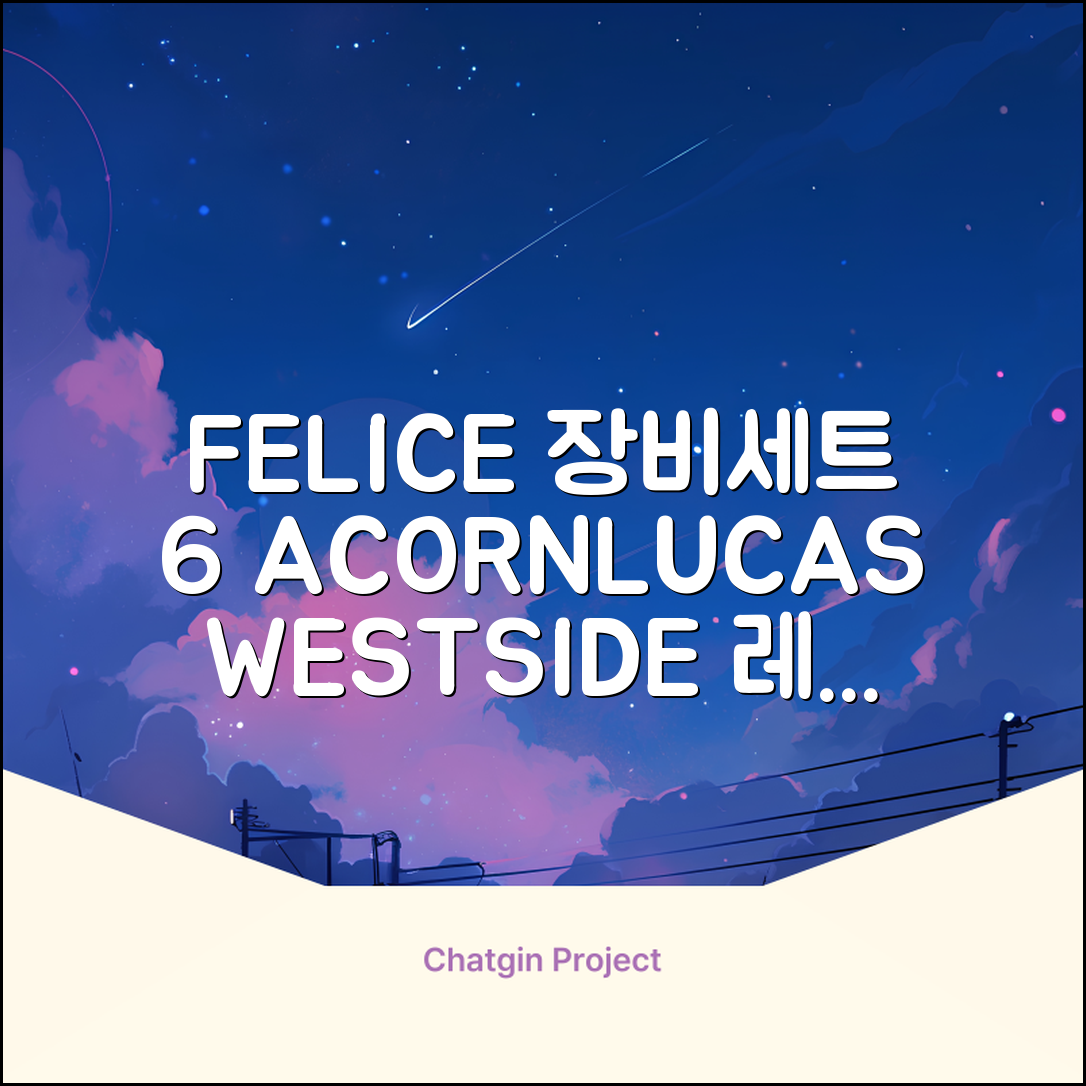 FELICE 장비세트6 ACORN데크 바인딩 LUCAS부츠, WESTSIDE 레드154+바인딩M, 1개 추천 리뷰