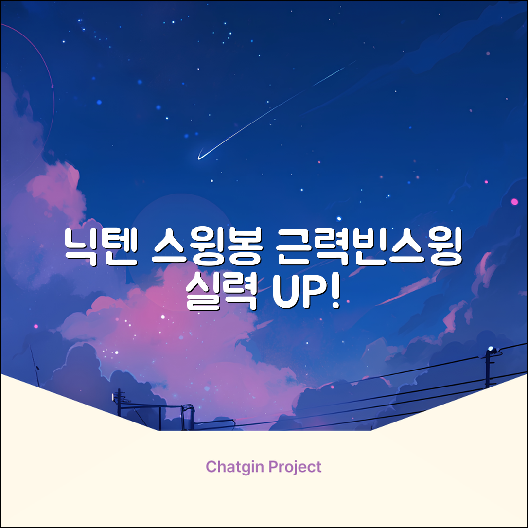 닉텐 배드민턴 스윙연습봉 - 근력강화 및 빈스윙연습, 1개, 스윙연습기 추천 리뷰