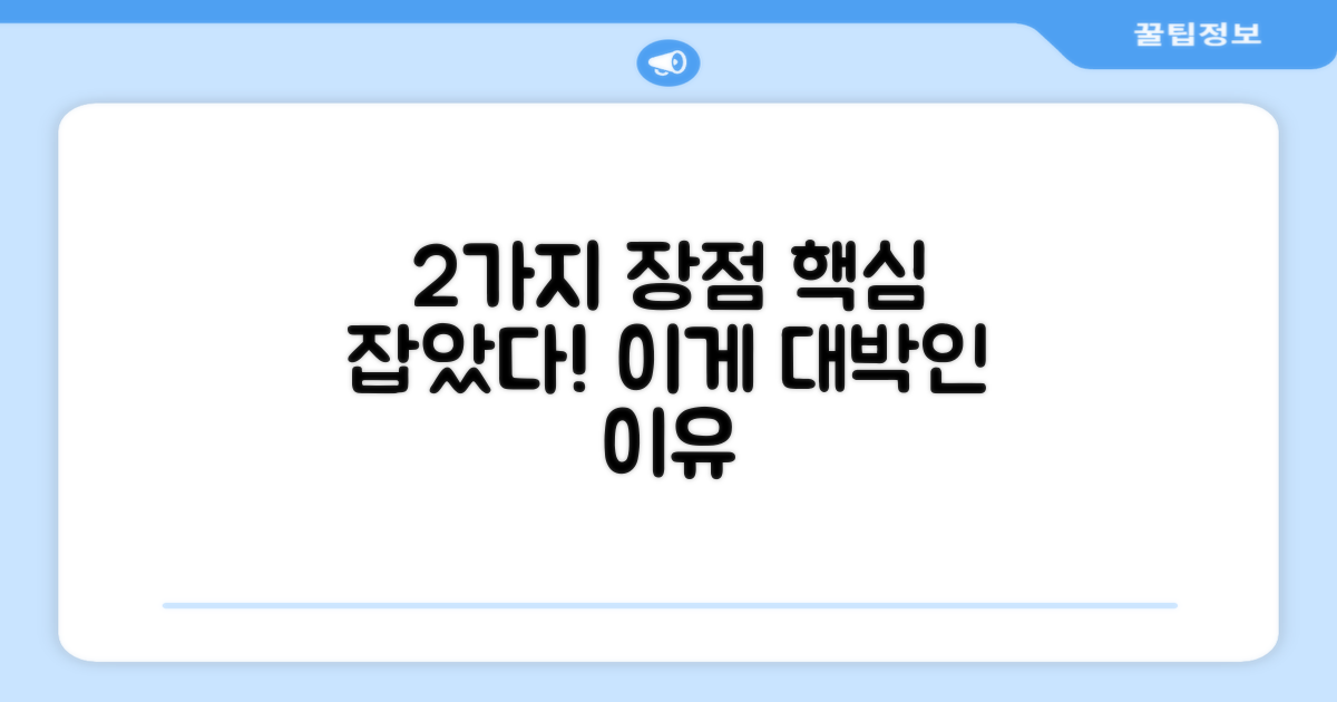 2가지 장점