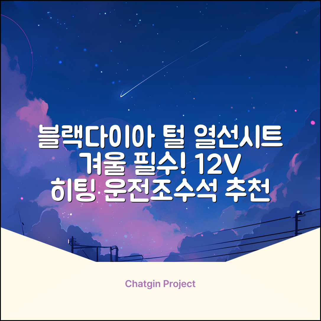 블랙다이아 차량용 열선시트 (1P) 털 겨울 히팅 전기시트, 1개, 12V (운전/조수석) 추천 리뷰