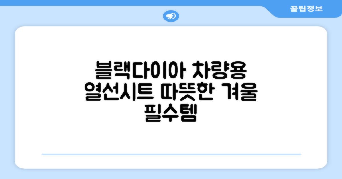 블랙다이아 차량용 열선시트 (1P) 털 겨울 히팅 전기시트, 1개, 12V (운전/조수석) 추천 리뷰