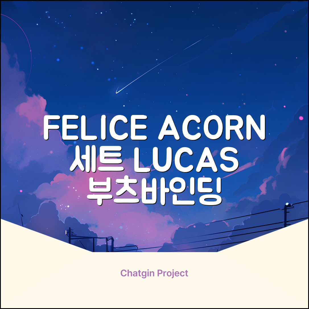 FELICE 장비세트6 ACORN데크 바인딩 LUCAS부츠, WESTSIDE 레드154+바인딩M, 1개 추천 리뷰