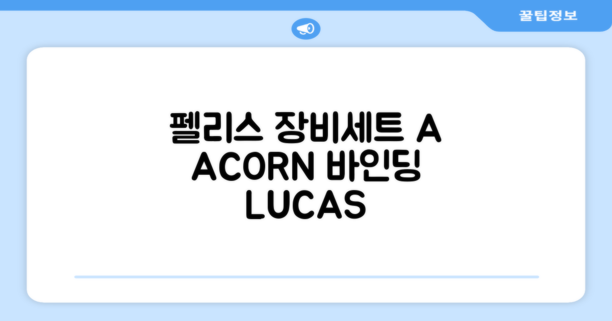 FELICE 장비세트6 ACORN데크 바인딩 LUCAS부츠, WESTSIDE 레드154+바인딩M, 1개 추천 리뷰