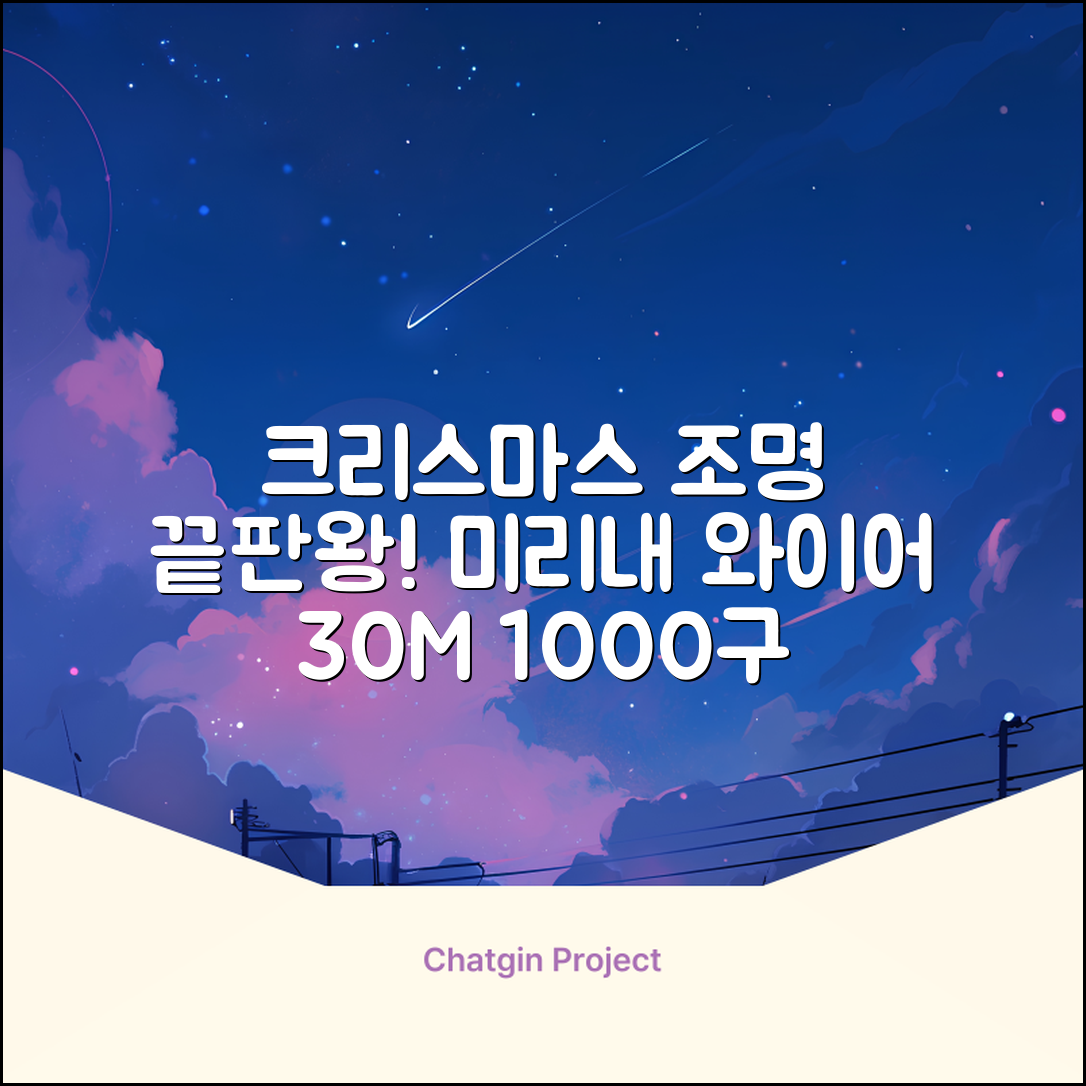 아리조명 LED 미리내 와이어 지네 전구 크리스마스 장식 줄 조명 30M 1000구 실버코팅, 웜화이트, 1개 추천 리뷰