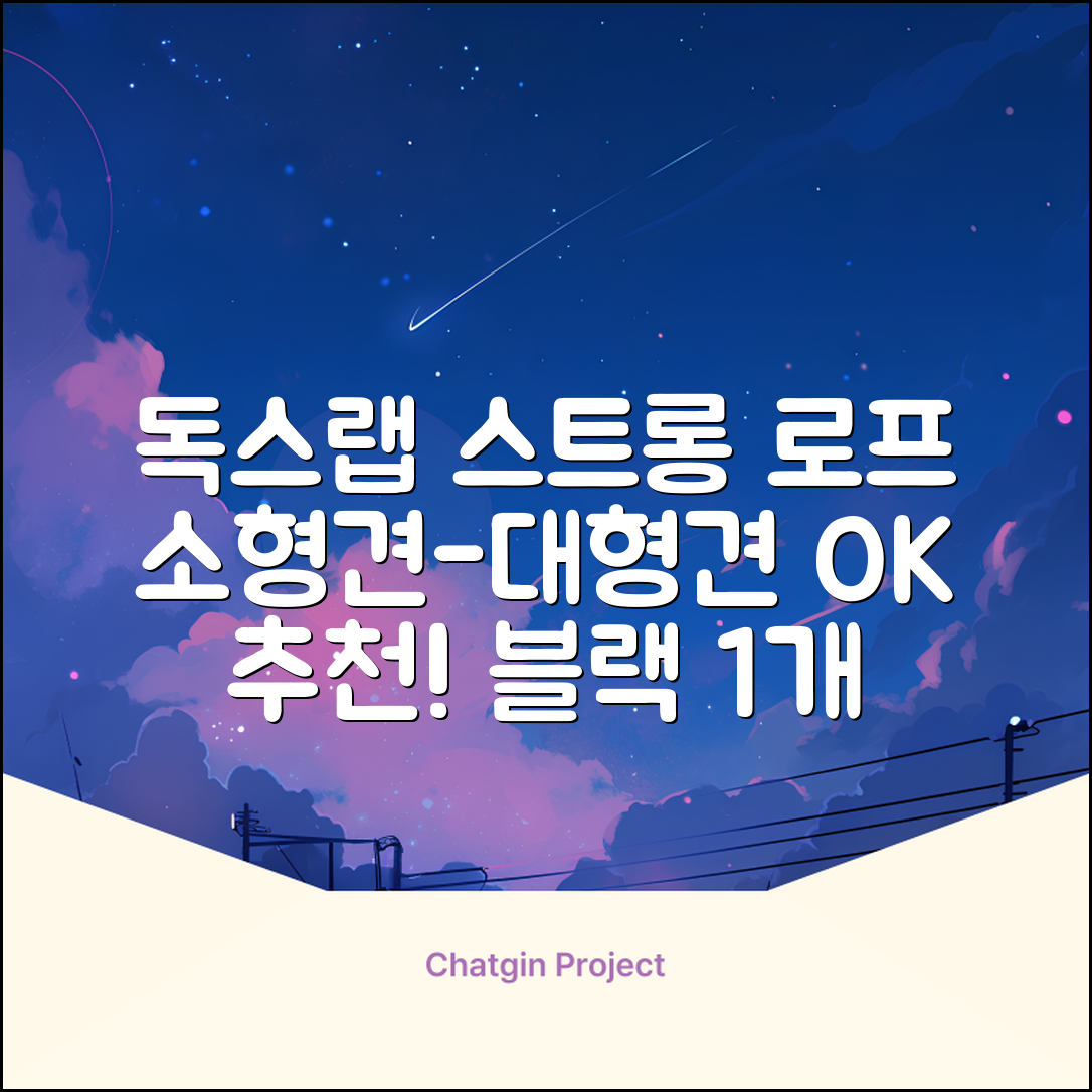 독스랩 1.5m 2m 3m 5m 스트롱 로프 소형견 중형견 대형견 줄 강아지 리드줄 산책줄, 블랙, 1개 추천 리뷰