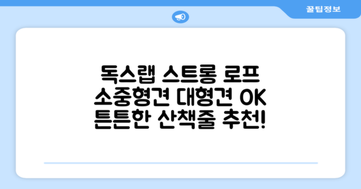 독스랩 1.5m 2m 3m 5m 스트롱 로프 소형견 중형견 대형견 줄 강아지 리드줄 산책줄, 블랙, 1개 추천 리뷰