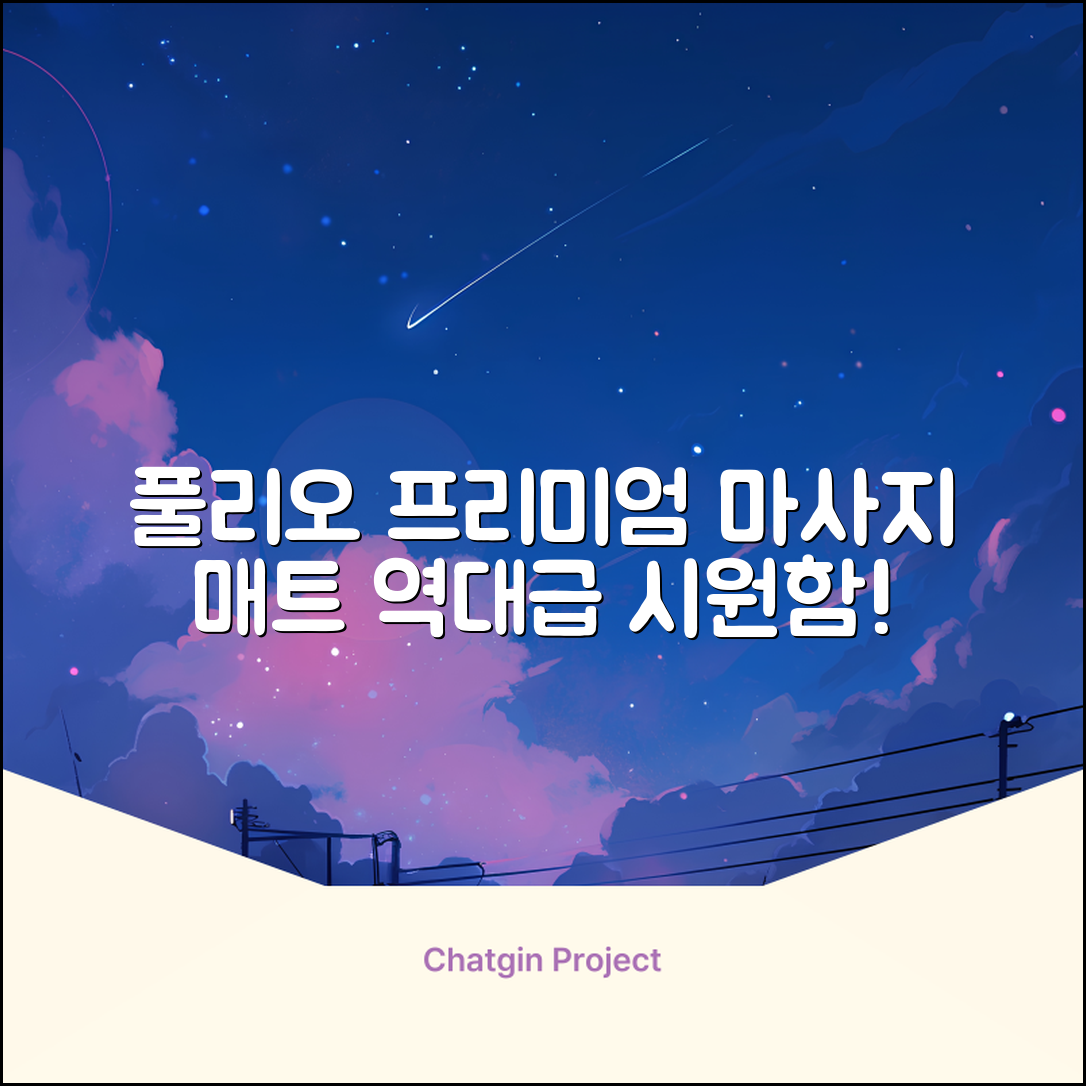 [풀리오 본사] 풀리오 프리미엄 마사지 매트 추천 리뷰