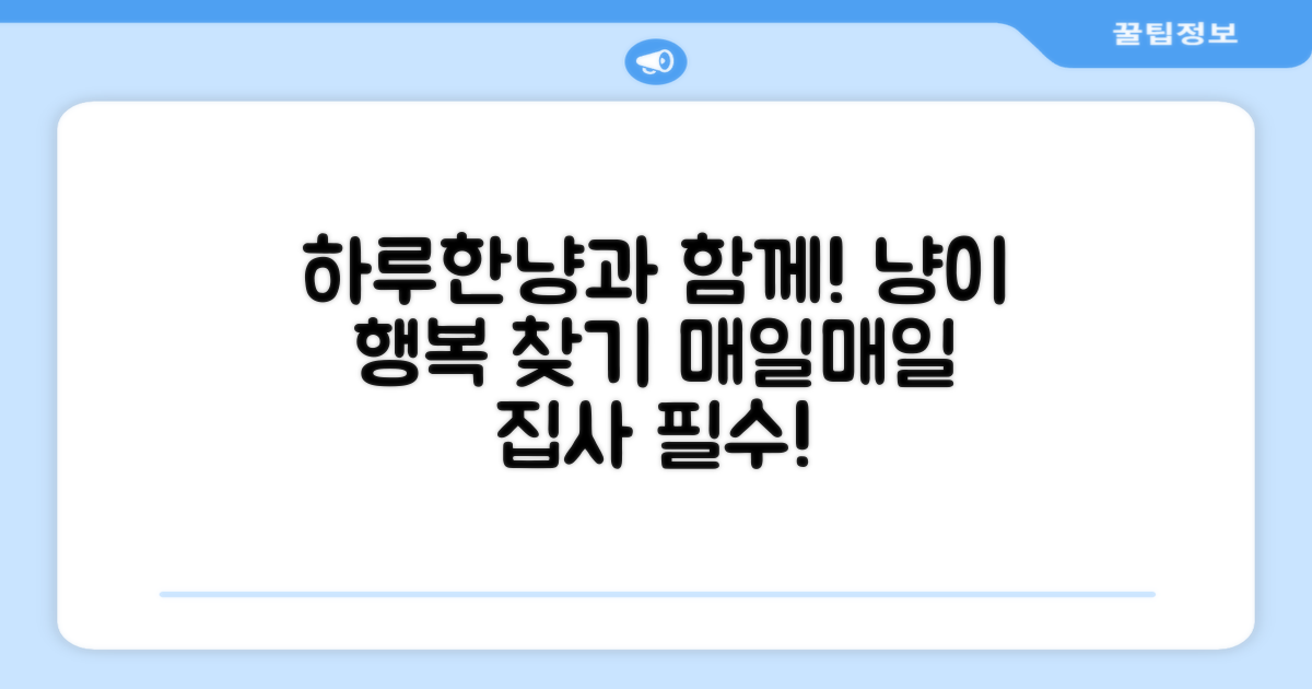 고양이 행복, 하루한냥과 함께!