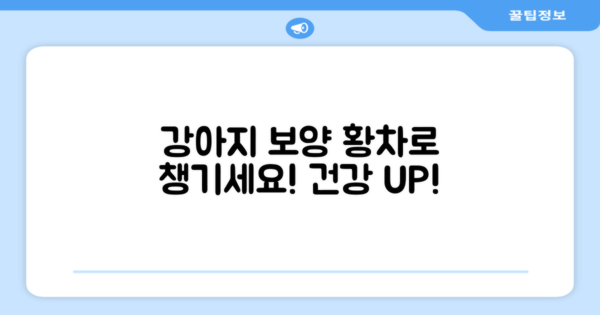 강아지 보양, 황차로 챙기세요