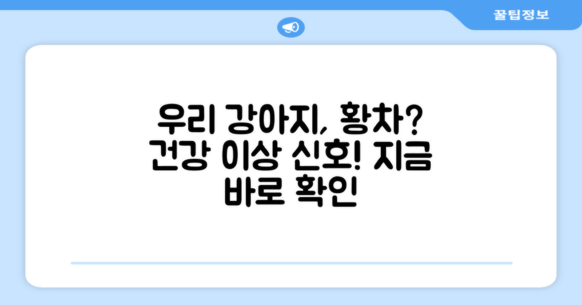 우리 강아지, 황차 괜찮을까?
