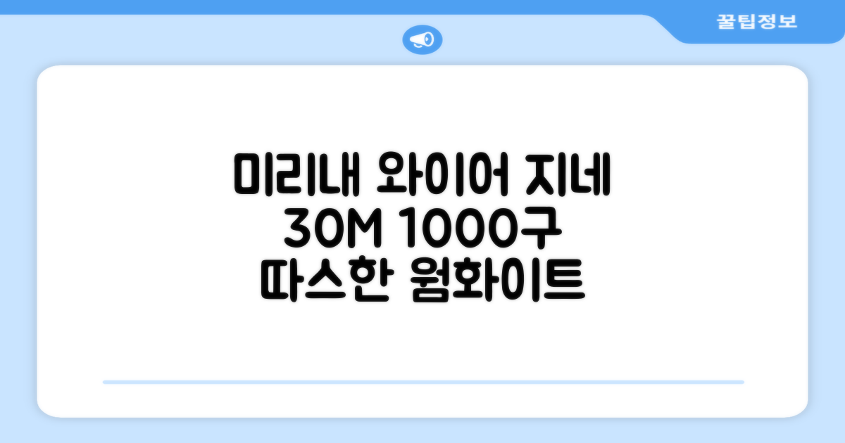 아리조명 LED 미리내 와이어 지네 전구 크리스마스 장식 줄 조명 30M 1000구 실버코팅, 웜화이트, 1개 추천 리뷰