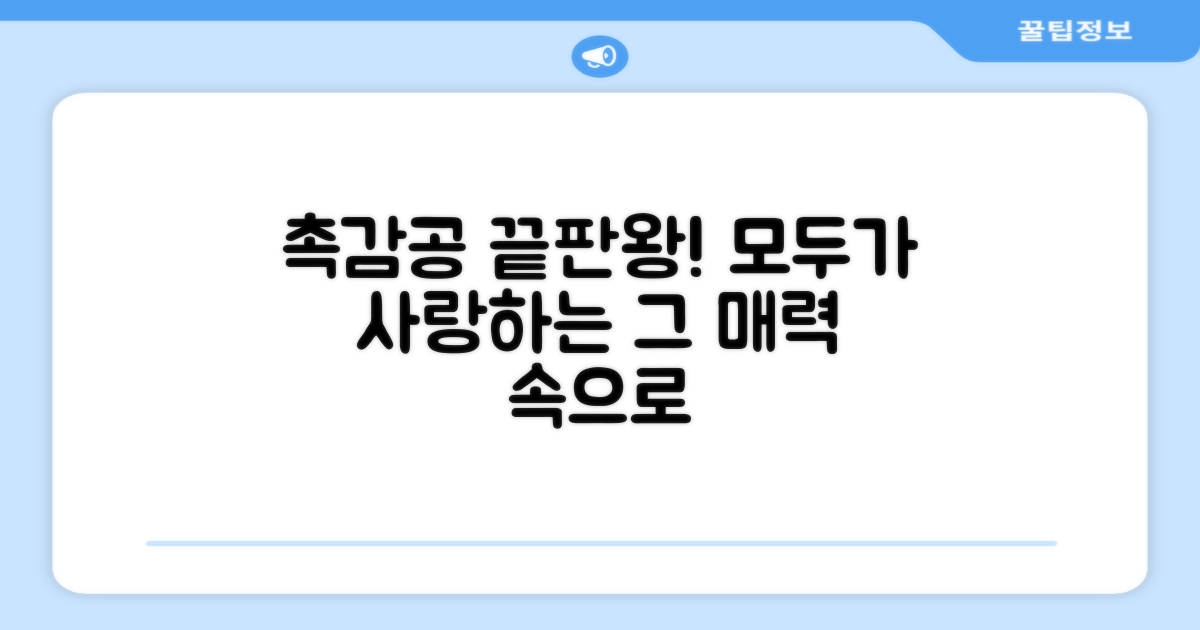모두가 좋아하는 촉감공