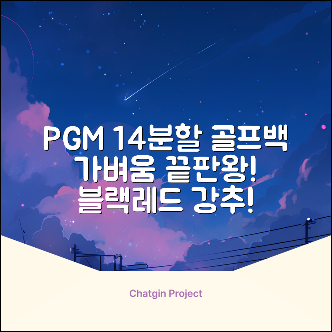 피지엠코리아 PGM 경량 14분할 골프백 스탠드백 캐디백, 블랙레드 추천 리뷰