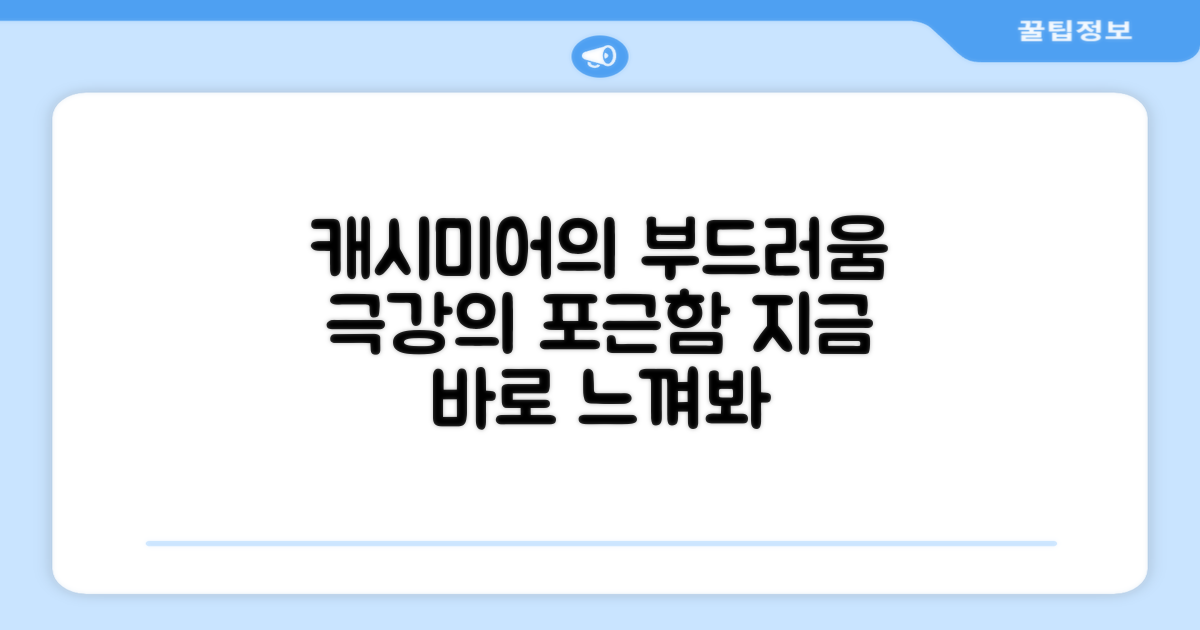 부드러움, 캐시미어의 매력