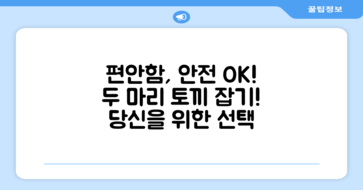 편안함과 안전, 두 마리 토끼 잡기