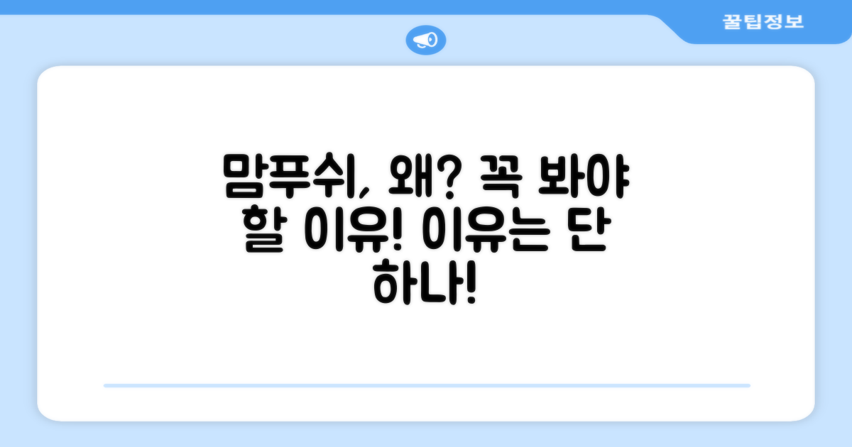 맘푸쉬, 왜 추천할까?