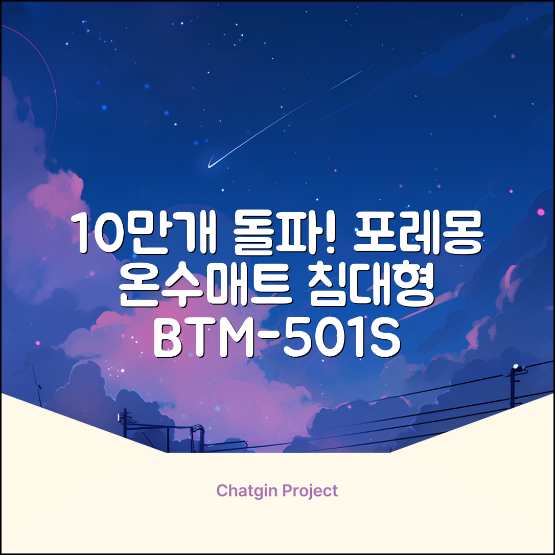 [10만개 판매돌파] 포레몽 온수매트 침대형 BTM-501S, 미니(800x1800mm) 추천 리뷰