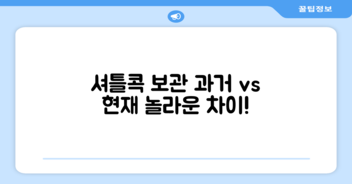 셔틀콕 보관: 과거와 현재