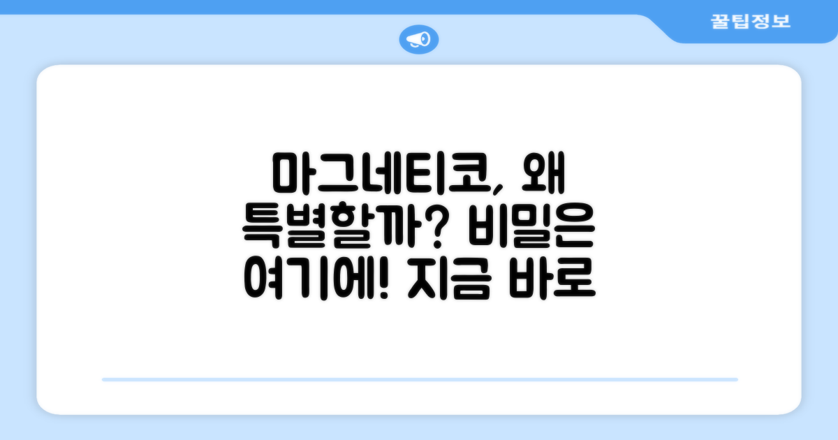 왜 마그네티코가 특별할까?