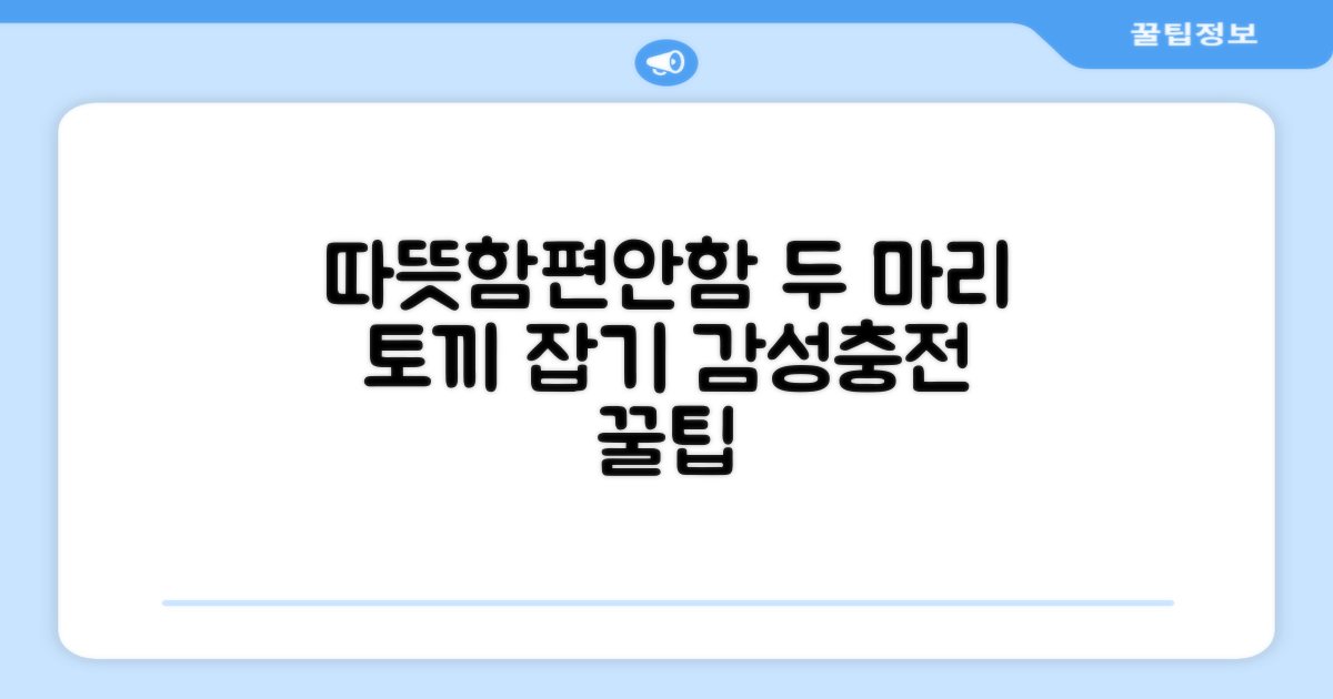 따뜻함과 편안함, 두 마리 토끼 잡기