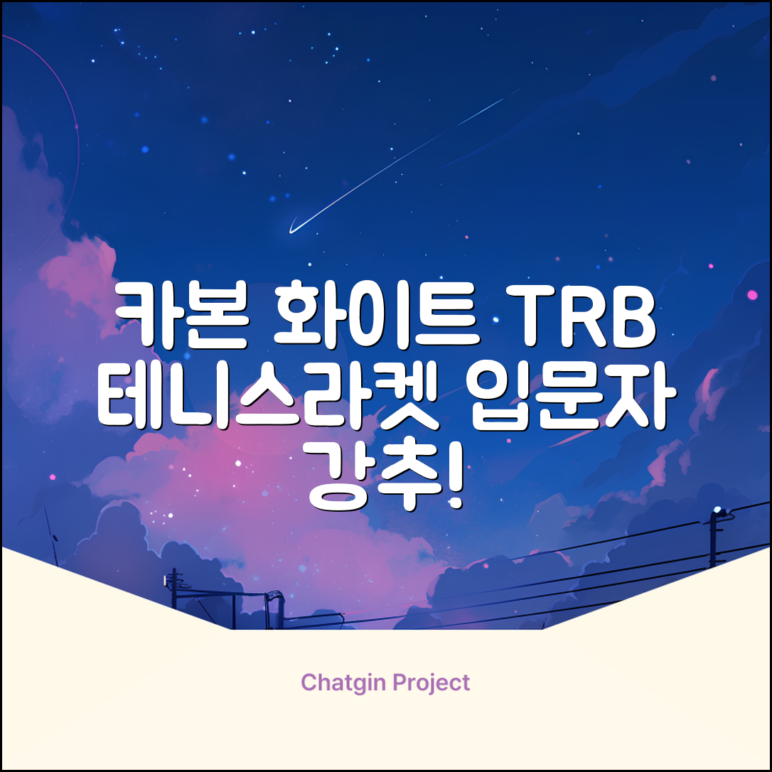티알비 입문용 테니스라켓 여성 남자, 1개, 카본 화이트 추천 리뷰